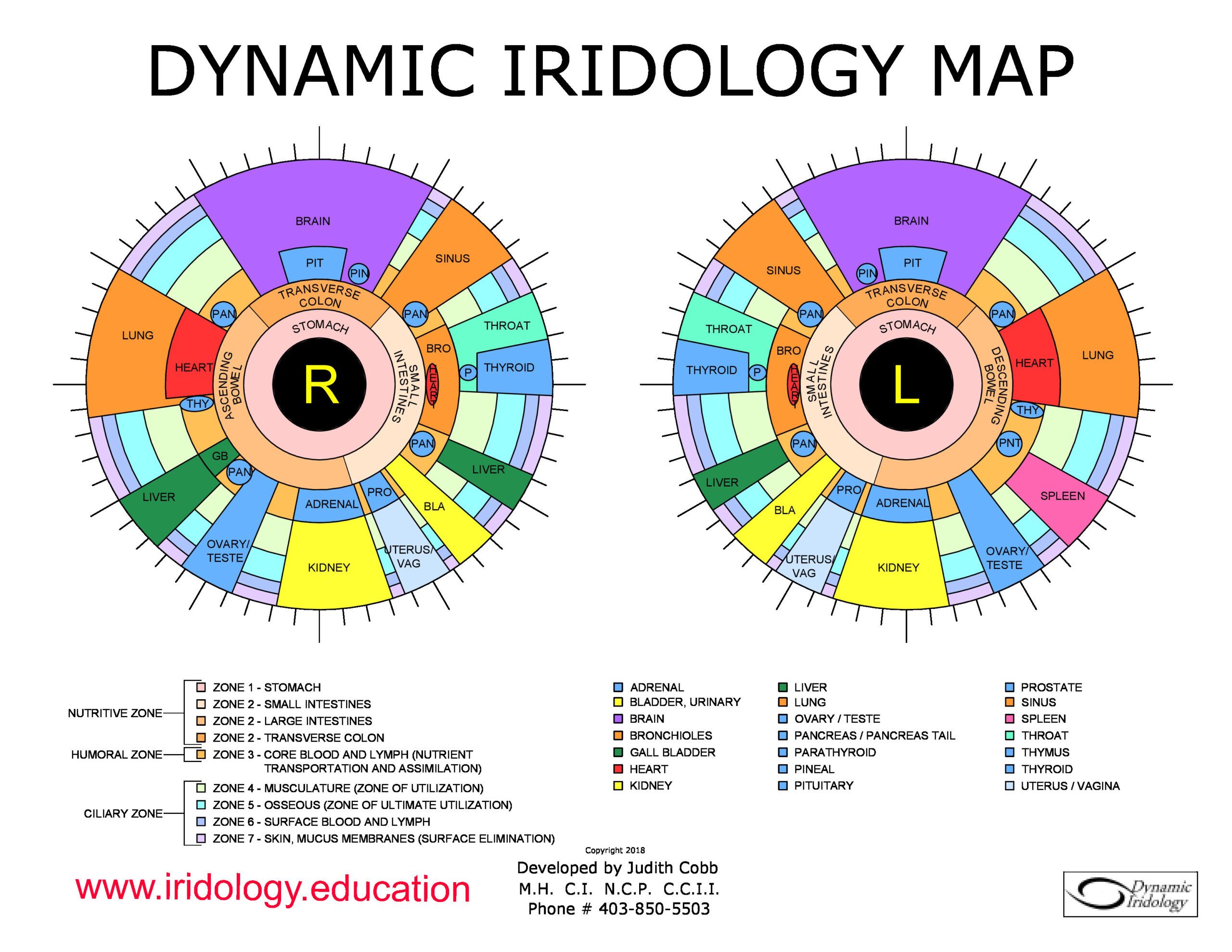 Iridology Map